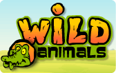 Wild Animals Wild Animals