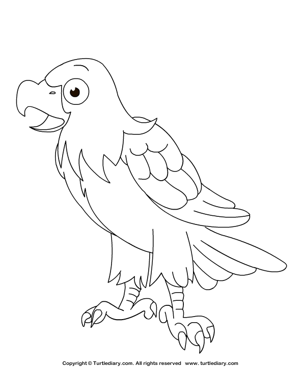 Eagle Coloring Page