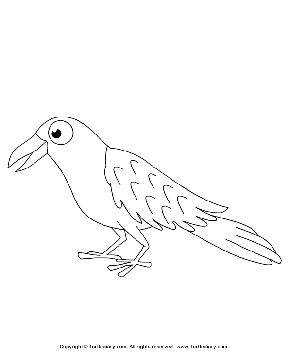 Raven Coloring Page