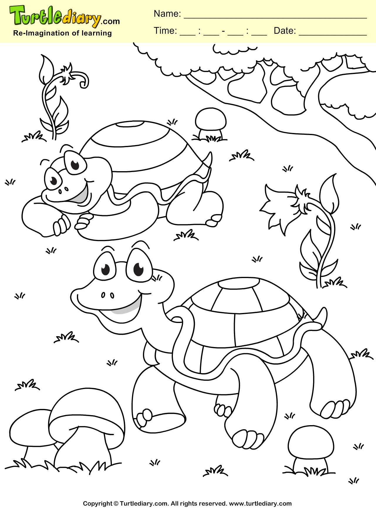 Turtle Coloring Page