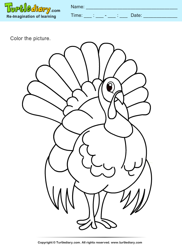 Color a Turkey