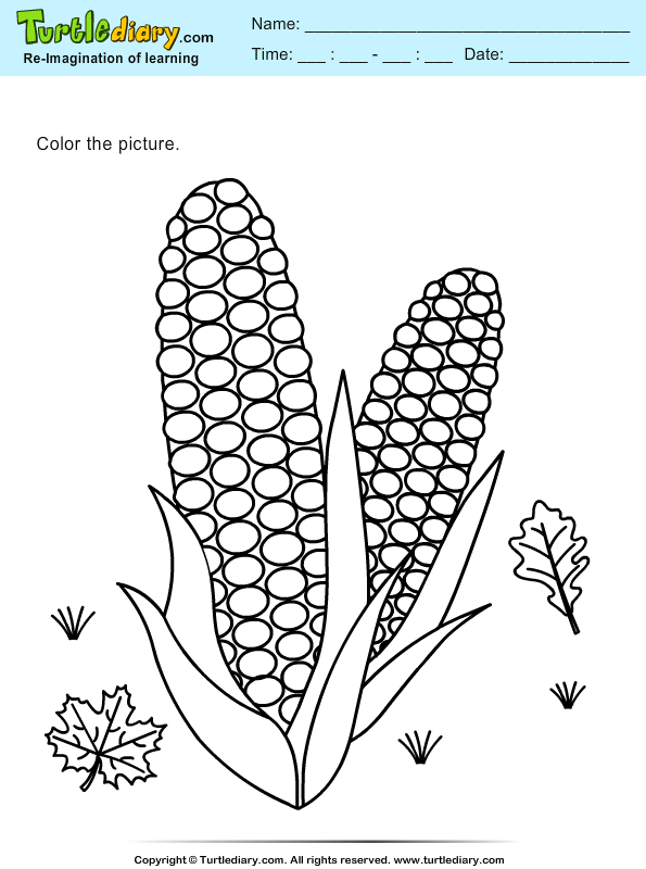 Color Corns
