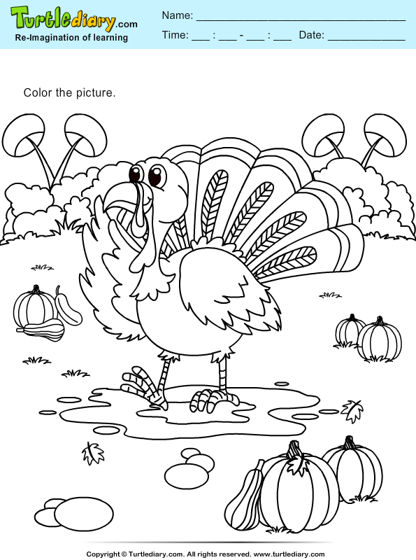 Color Turkey and Pumpkins