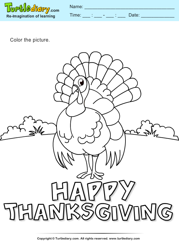 Thanksgiving Color a Turkey