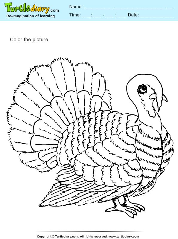 Thanksgiving Coloring Turkey