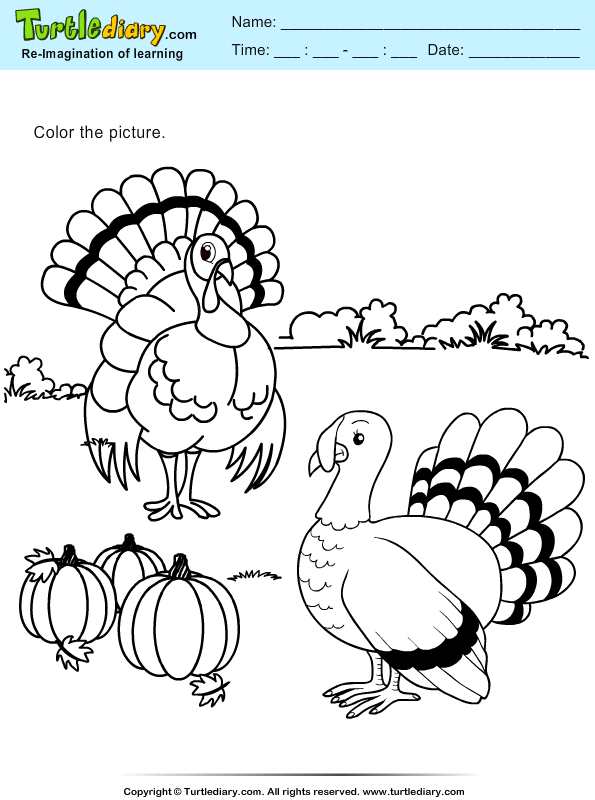 Thanksgiving Coloring Turkeys