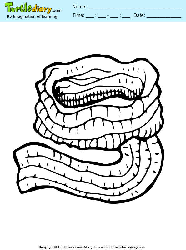 Scarf Coloring Page