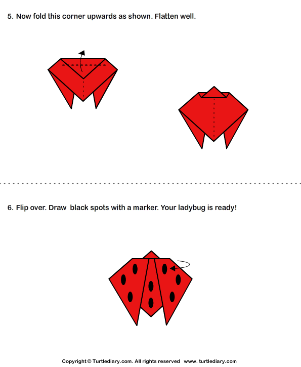 Origami Rolly Bug Paper Folding Crafts For Kids | Lady Bug Origami For Kids