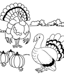 thanksgiving - First Grade