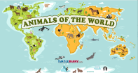 Animals of the world - Animals - Third Grade
