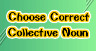 Choose Correct Collective Noun - Reading - Third Grade