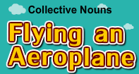 Collective Nouns-Flying an Aeroplane - Noun - Third Grade