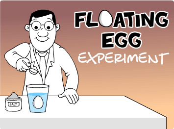 Floating Egg Experiment