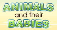Animals and their Babies - Animals - Kindergarten