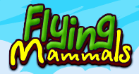 Flying Mammals - Animals - First Grade