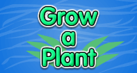 Grow a Plant - Plants - First Grade