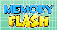 Memory Flash
