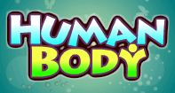 Human Body - The Human Body - Second Grade