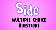 Sides : Multiple Choice Questions - Geometric Shapes - Second Grade