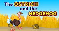 Comprehension - The Ostrich and the Hedgehog - Reading - Second Grade