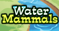 Water Mammals - Animals - Second Grade