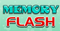 Memory Flash