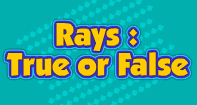 Rays : True or False