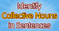 Identify Collective Nouns in Sentences - Noun - Third Grade