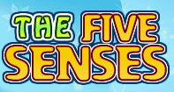 The Five Senses - The Human Body - Kindergarten