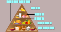Food Pyramid Labeling - Picture Games - First Grade