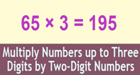 Multiply Numbers up To-Three Digits By Two Digit Numbers