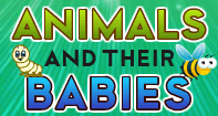 Animals and their Babies - Animals - Preschool
