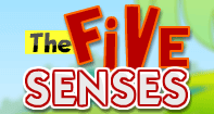 The Five Senses - The Human Body - Preschool
