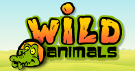 Wild Animals - Animals - Preschool