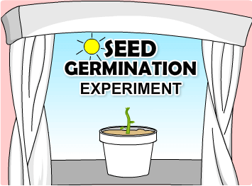 Seed Germination Experiment