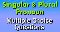 Singular and Plural Pronoun Multiple  Choice Questions - Pronoun - Third Grade