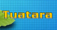 Tuatara - Animals - First Grade