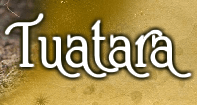 Tuatara - Animals - Second Grade