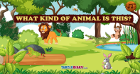 What kind of animal is this - Animals - Kindergarten