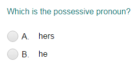 Identifying Possessive Pronouns