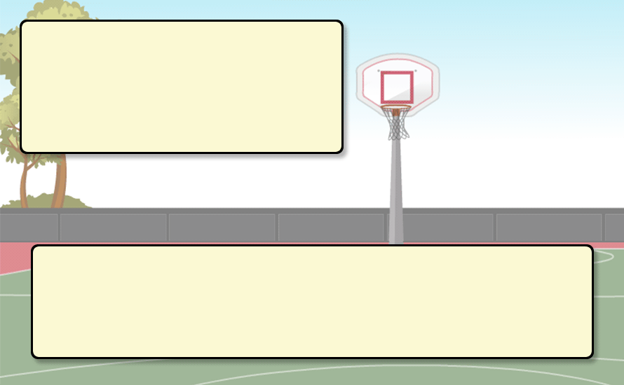 Basketball 24