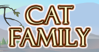 Cat Family Part 1 Video