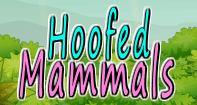 Hoofed Mammals Part 1 Video