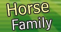Horse Family Part 2 Video