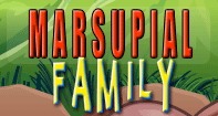 Marsupial Family Part 1 Video