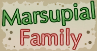 Marsupial Family Part 2 Video
