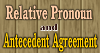 Relative Pronoun-Antecedent Agreement Video