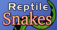Reptile Snakes Video