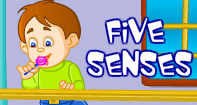 The Five Senses Video