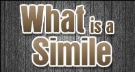 What Is a Simile Video